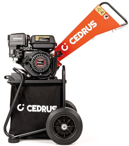 Cedrus RB01C