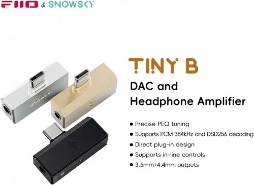 FiiO Snowsky Tiny B