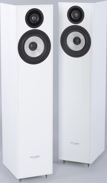 Pylon Audio Pearl 20