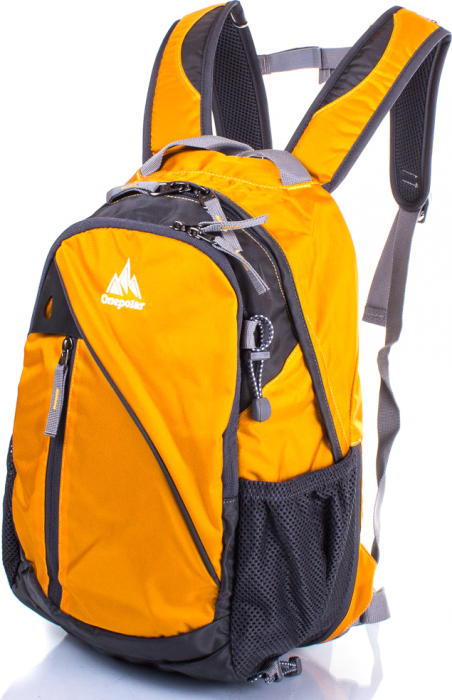 One Polar 1391