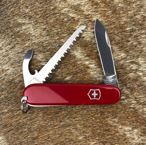 Victorinox Walker