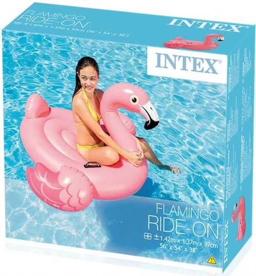 Intex 57558