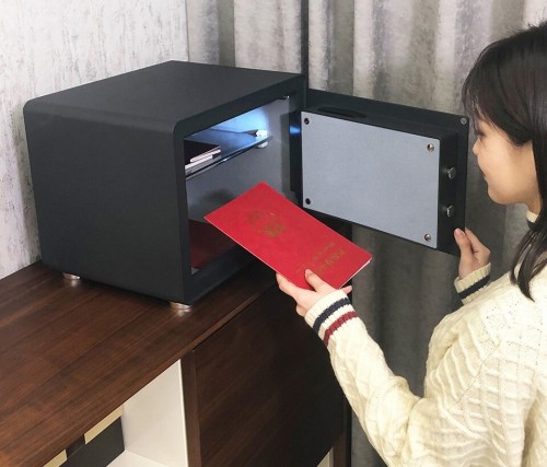 Xiaomi CRMCR Electronic Safe