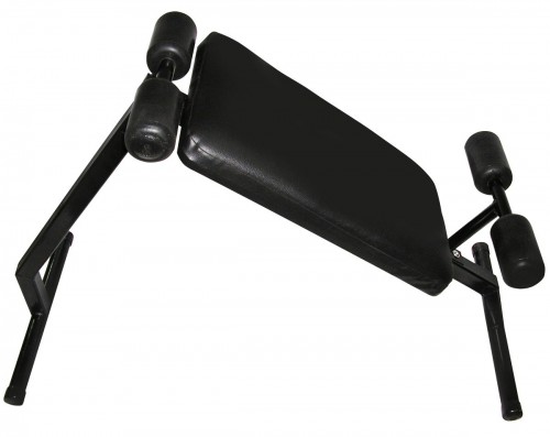 Newt NE-SKM-0670