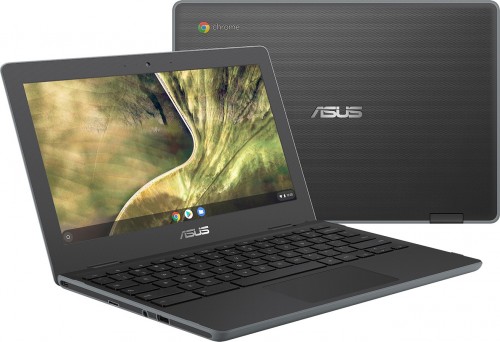 Asus Chromebook C204MA