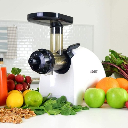 BioChef Gemini Twin Gear Cold Press