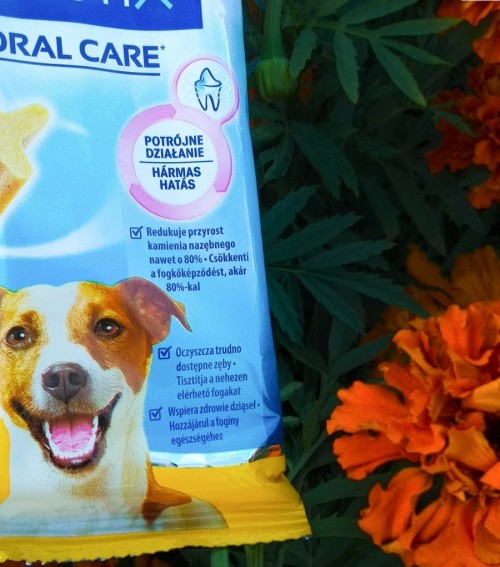 Pedigree DentaStix Dental Oral Care 7 pcs