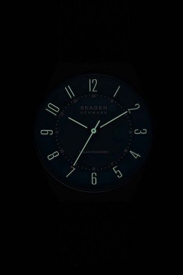 Skagen SKW6837