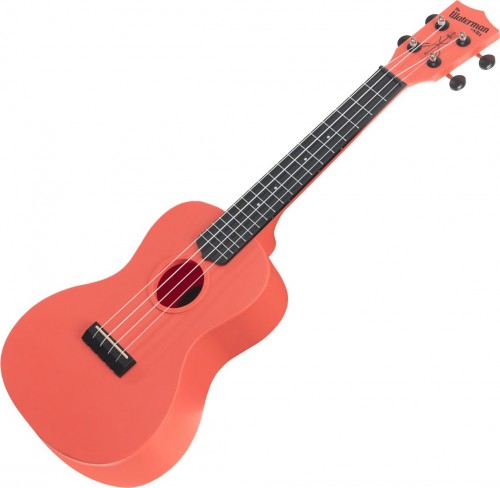 Kala Waterman Concert Ukulele