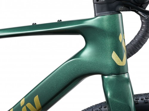 Giant Liv Devote Advanced 2 2024 frame XS