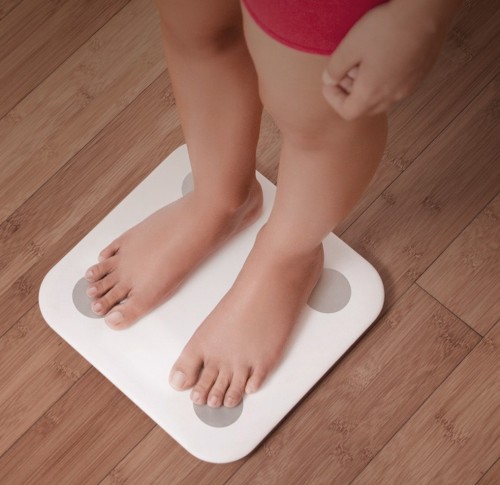 Xiaomi Mi Body Composition Scale