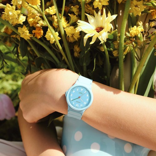 Casio LQ-24B-2B