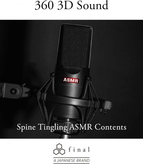 Final Audio Design E500