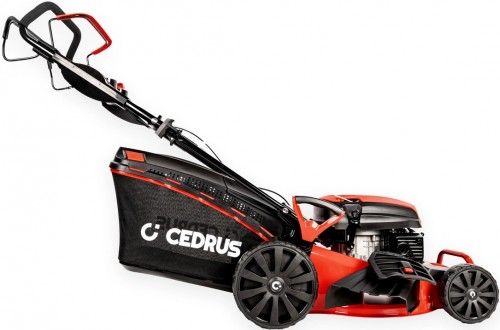 Cedrus KS48S