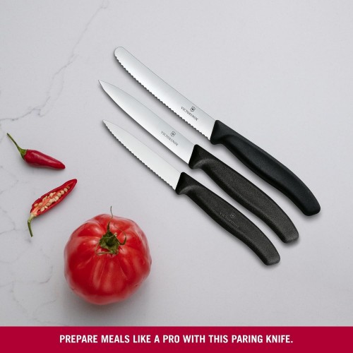 Victorinox Swiss Classic 6.7113.34