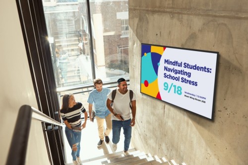 Viewsonic CDE9831-1C