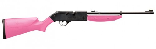 Crosman Pumpmaster 760 Pink