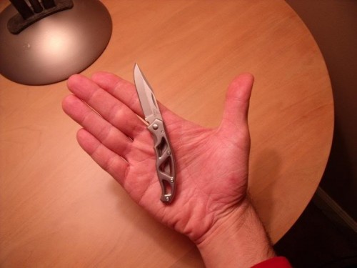 Gerber Paraframe Mini