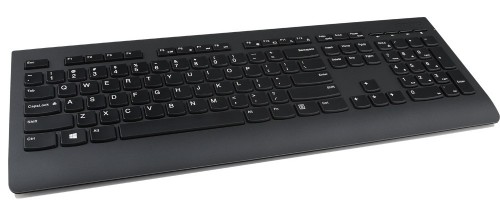 Lenovo Professional Wireless Keyboard and Mouse