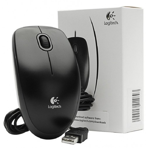 Logitech B100