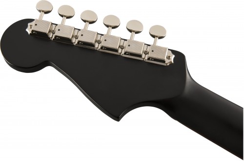 Fender Newporter Special