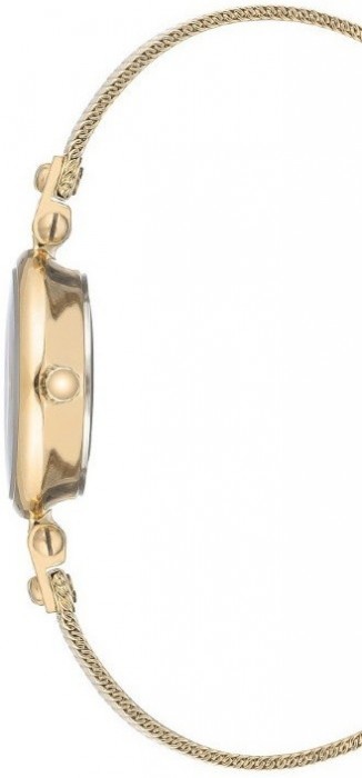 Anne Klein 3002 CHGB