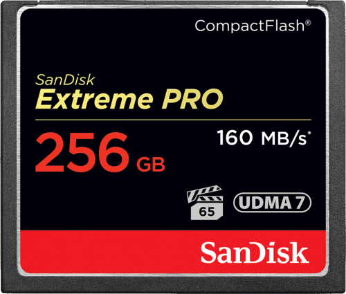 SanDisk Extreme Pro 160MB/s CompactFlash 256Gb