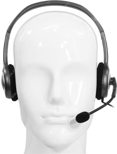 Logitech Stereo Headset H110