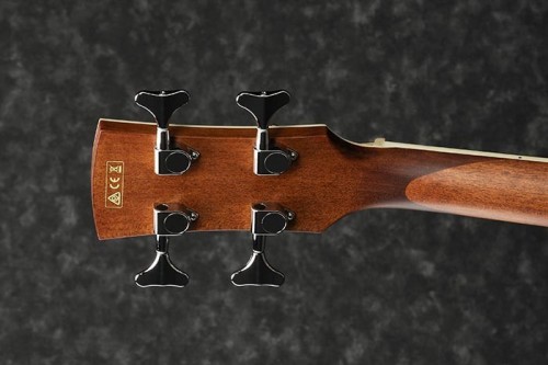 Ibanez PNB14E