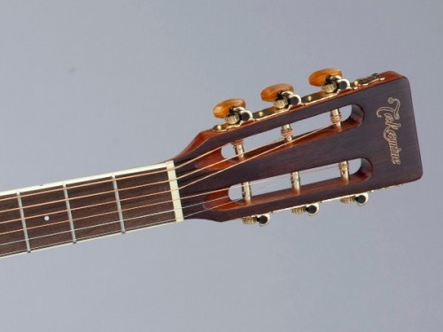 Takamine GY51E