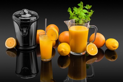 Gotze & Jensen CJ500X