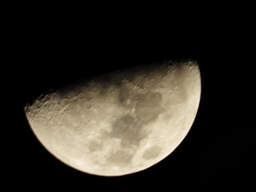Nikon Coolpix P1000