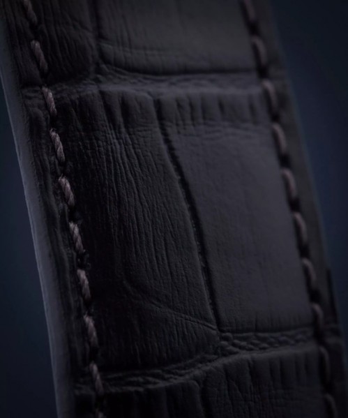 Zeppelin 100 Jahre 8670-3