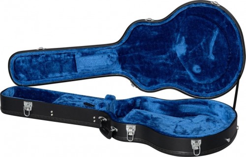 Epiphone Shinichi Ubukata ES-355