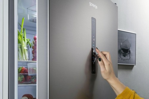 Gorenje NRK 619 CA2XL4