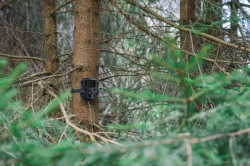 Braun Scouting Cam Black200 Mini