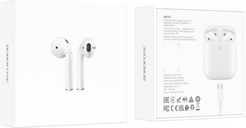 Borofone BW79