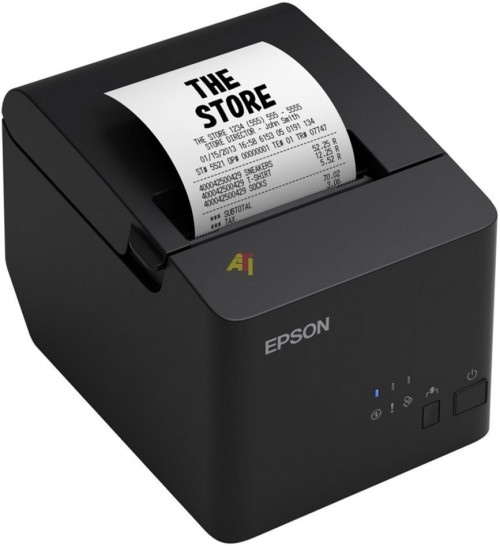Epson TM-T20X USB + Serial