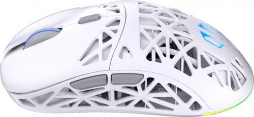 Endorfy LIV Wireless