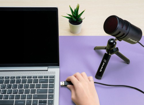 Aver Media AM 310 G2