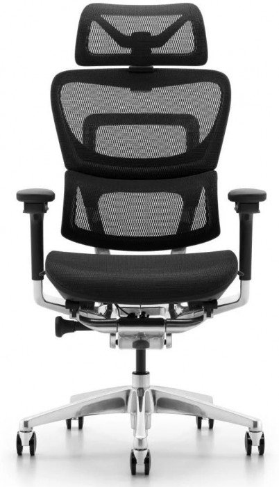 ADAPWORK L1 Mesh Lead Ergochair Deep
