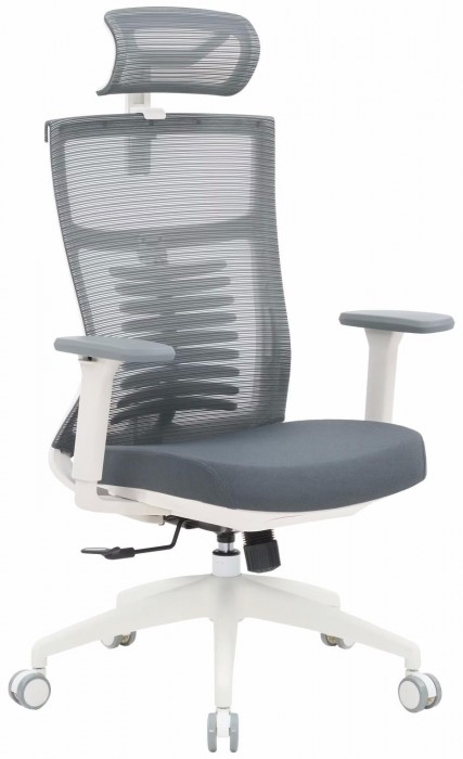 OfficePro Balance OC550