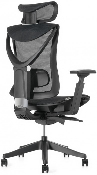 ADAPWORK S1 Mesh Senior ErgoChair