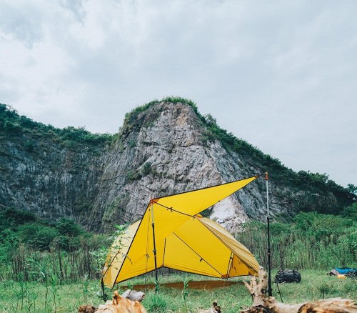 Fire-Maple Tropics 2