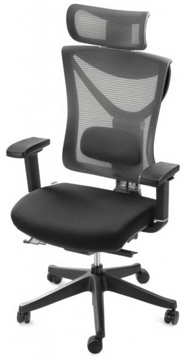 ADAPWORK S1 Senior ErgoChair