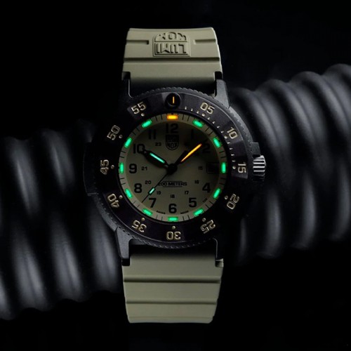 Luminox Original Navy SEAL XS.3010.EVO.S