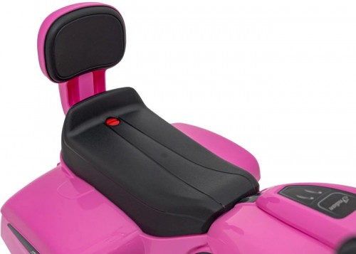 Ramiz Chopper Indian