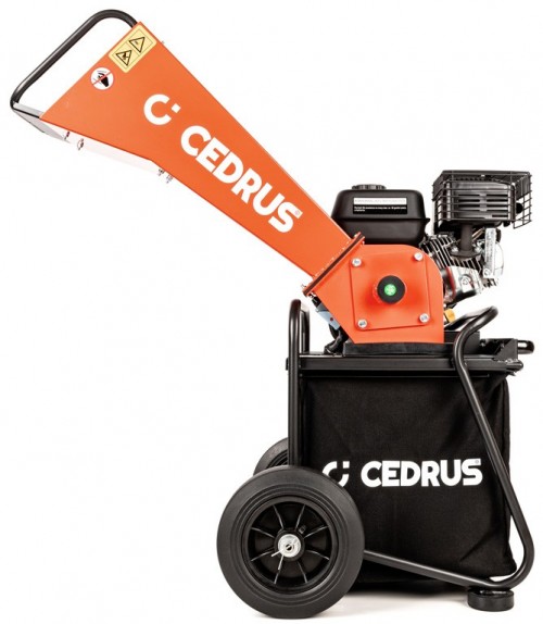 Cedrus RB01C