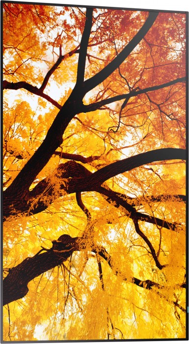 Sharp MultiSync M502