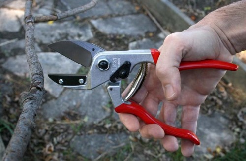 FELCO 31